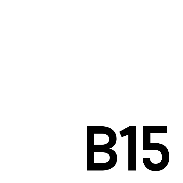 logo B15 blanc